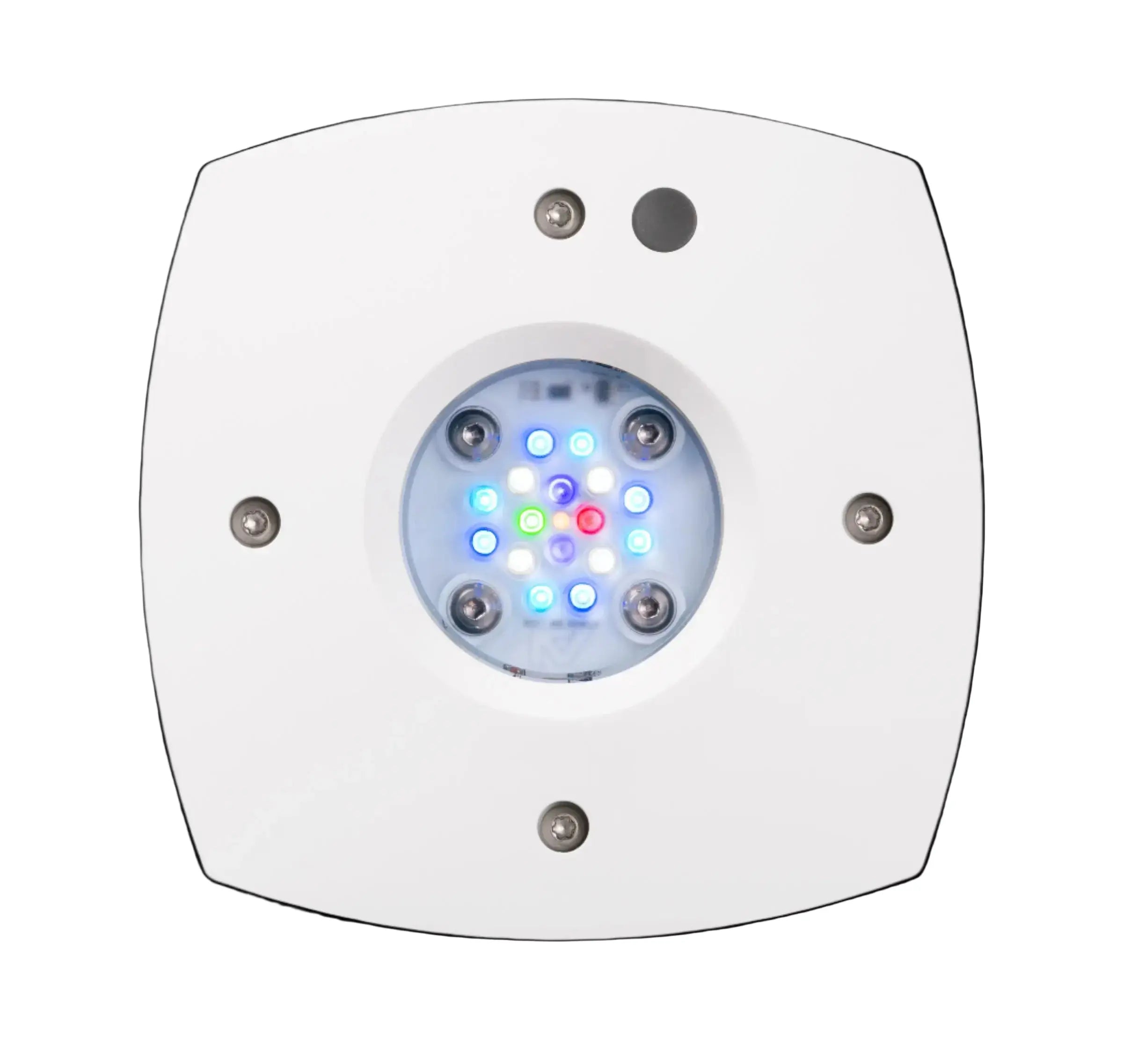 Aquarium Lighting Tips for Your Fish | Aquarium Lighting | Shop Now ...