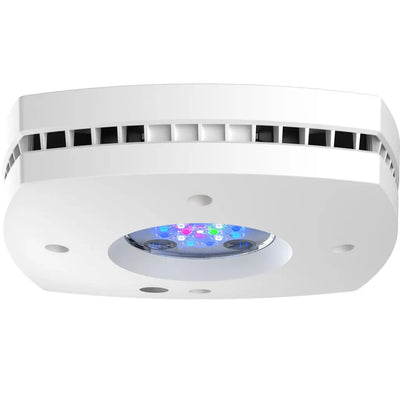AI Hydra Prime 16 HD Freshwater LED Module White Body AquaIllumination