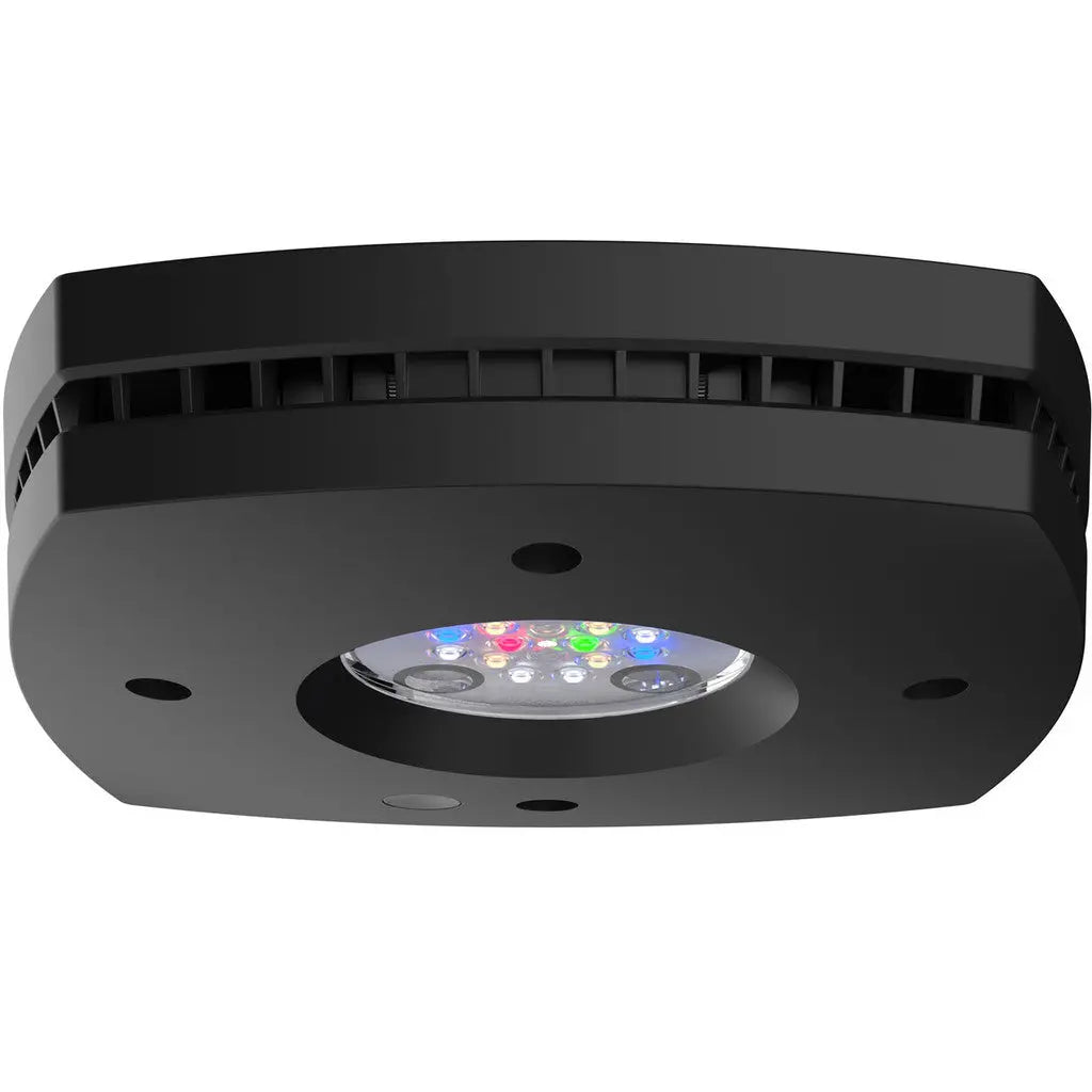 AI Hydra Prime 16 HD Freshwater LED Module | Black Body AquaIllumination