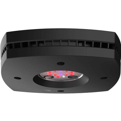 AI Hydra Prime 16 HD Fuge LED Module Black Body AquaIllumination