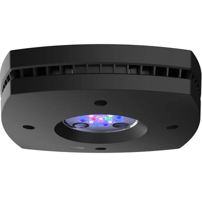 AI Hydra Prime 16 HD LED Module Black Body AquaIllumination