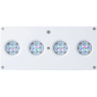 Hydra 64 HD LED Module White AquaIllumination