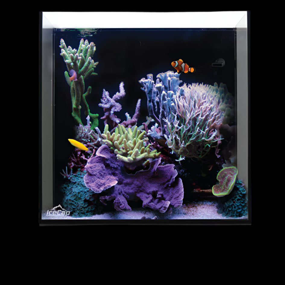 IceCap 20 Gallon Cube AIO Rimless Glass Aquarium
