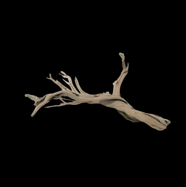 Dymax Driftwood - L (20-24in)