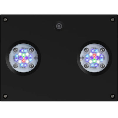AI Hydra 32 HD LED Module reef light