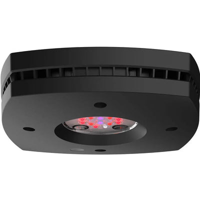 AI Hydra Prime 16 HD Fuge LED refugium light