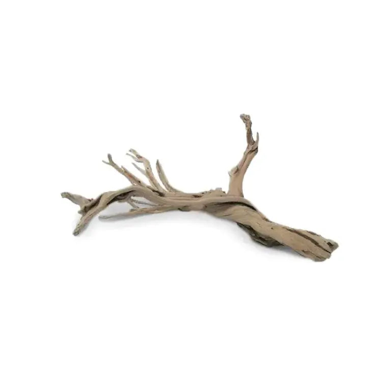 Dymax natural driftwood for aquascaping