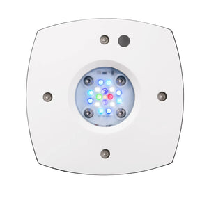 Aquarium-Lighting Marine Concept Supply