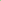 Staff-Pick-Live-Coral-for-sale Marine Concept Supply