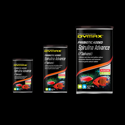 Fish-Food Marine Concept Supply