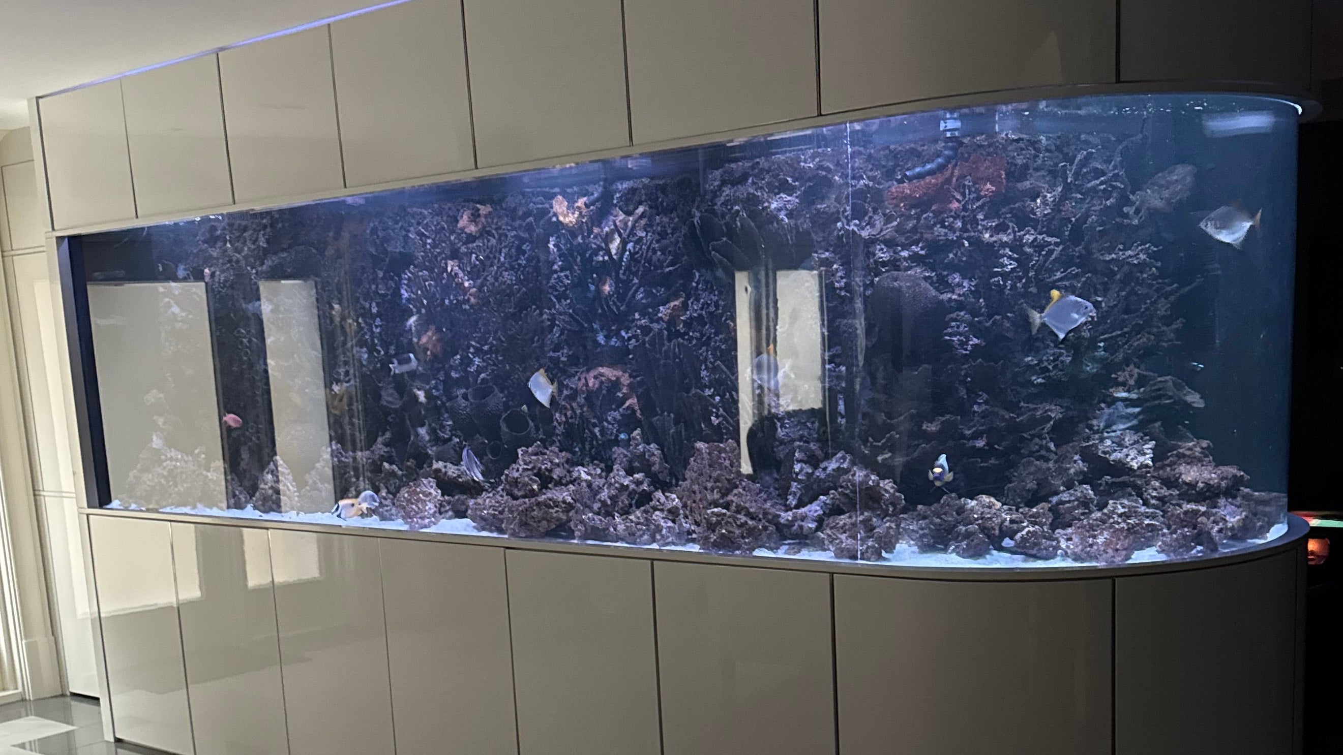 2000 Gallon Aquarium