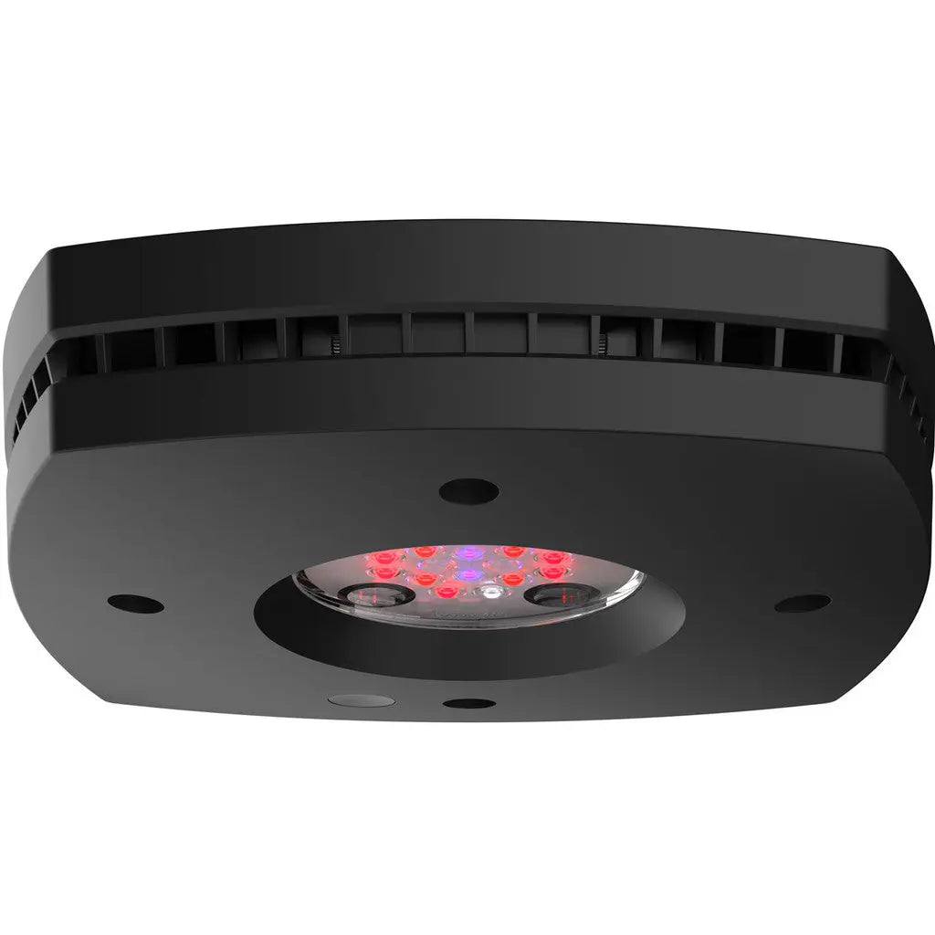 AI Hydra Prime 16 HD Fuge LED Module Black Body AquaIllumination