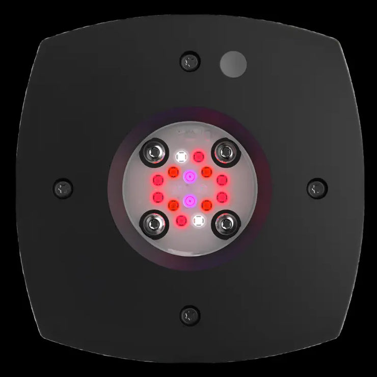 AI Hydra Prime 16 HD Fuge LED Module   Black Body