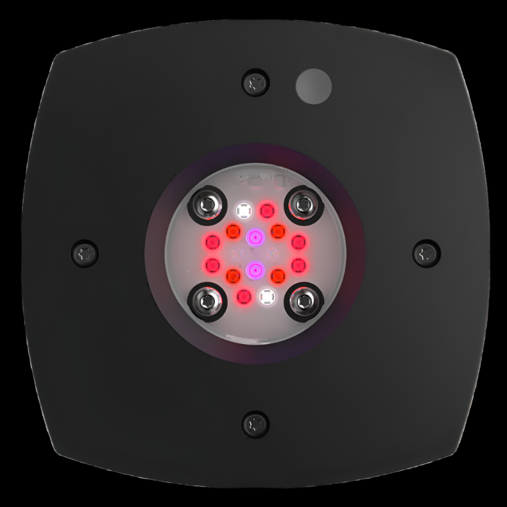 AI Hydra Prime 16 HD Fuge LED Module   Black Body
