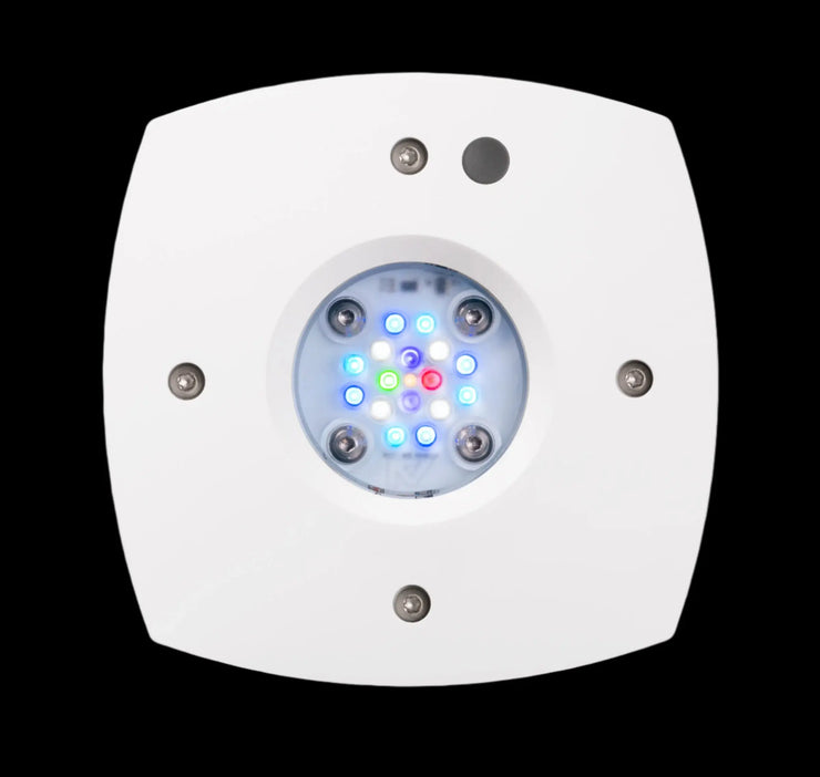 AI Hydra Prime 16 HD LED Module   Black Body