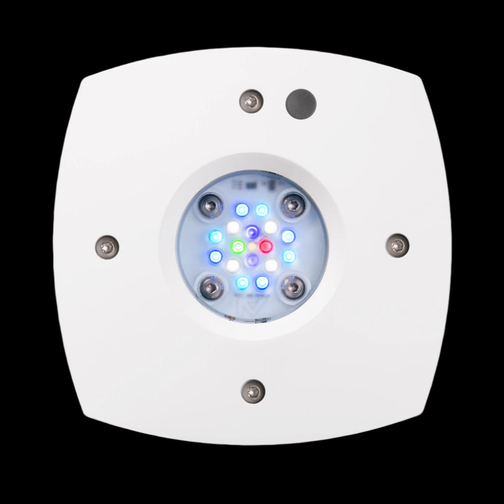 AI Hydra Prime 16 HD LED Module   Black Body