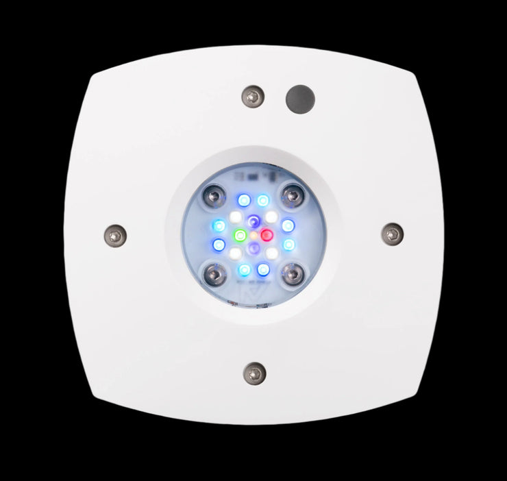 AI Hydra Prime 16 HD LED Module   Black Body