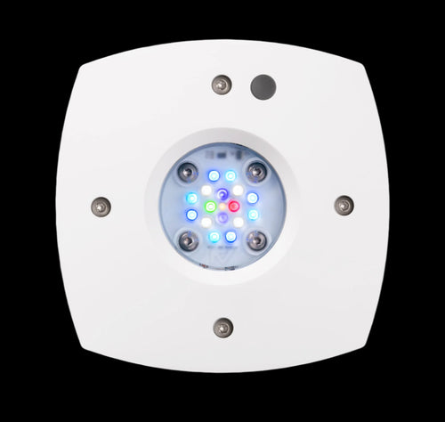 AI Hydra Prime 16 HD LED Module   White Body