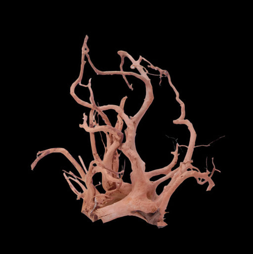 Dymax Tweety Wood - M (15-20in)