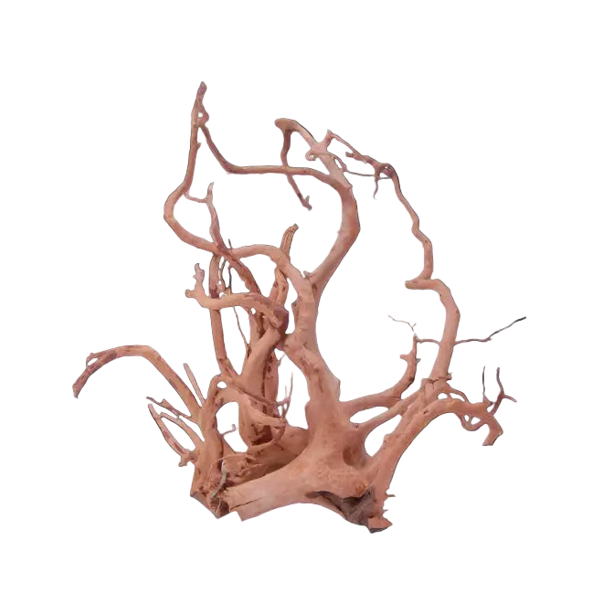 image Dymax Tweety Wood - M (15-20in) Dymax