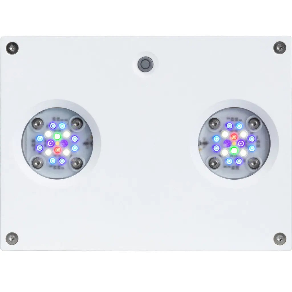 Hydra 32 HD LED Module White AquaIllumination