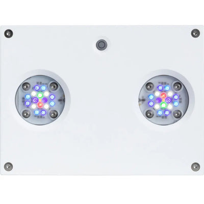 Hydra 32 HD LED Module White AquaIllumination