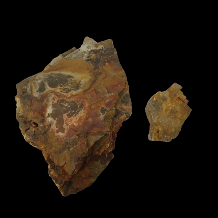 IceCap Petrified Wood Stone, 44lbs