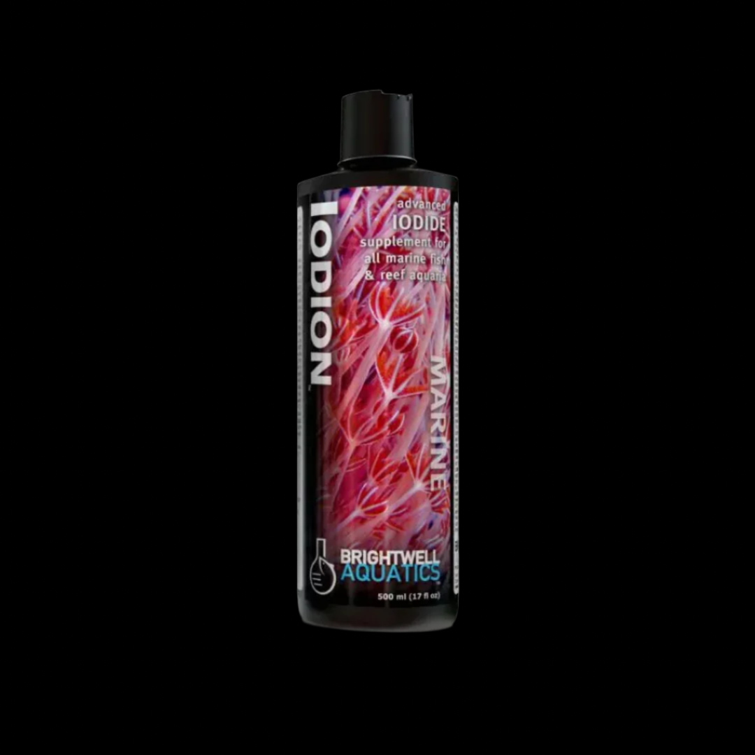 Brightwell Aquatics Iodion - Liquid Iodine Supplement - Long Acting 250ml - Disc