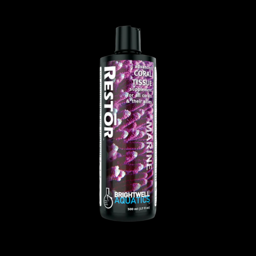 Brightwell Aquatics Restor - Liquid Coral Tissue Nutritional Supplement 500ml