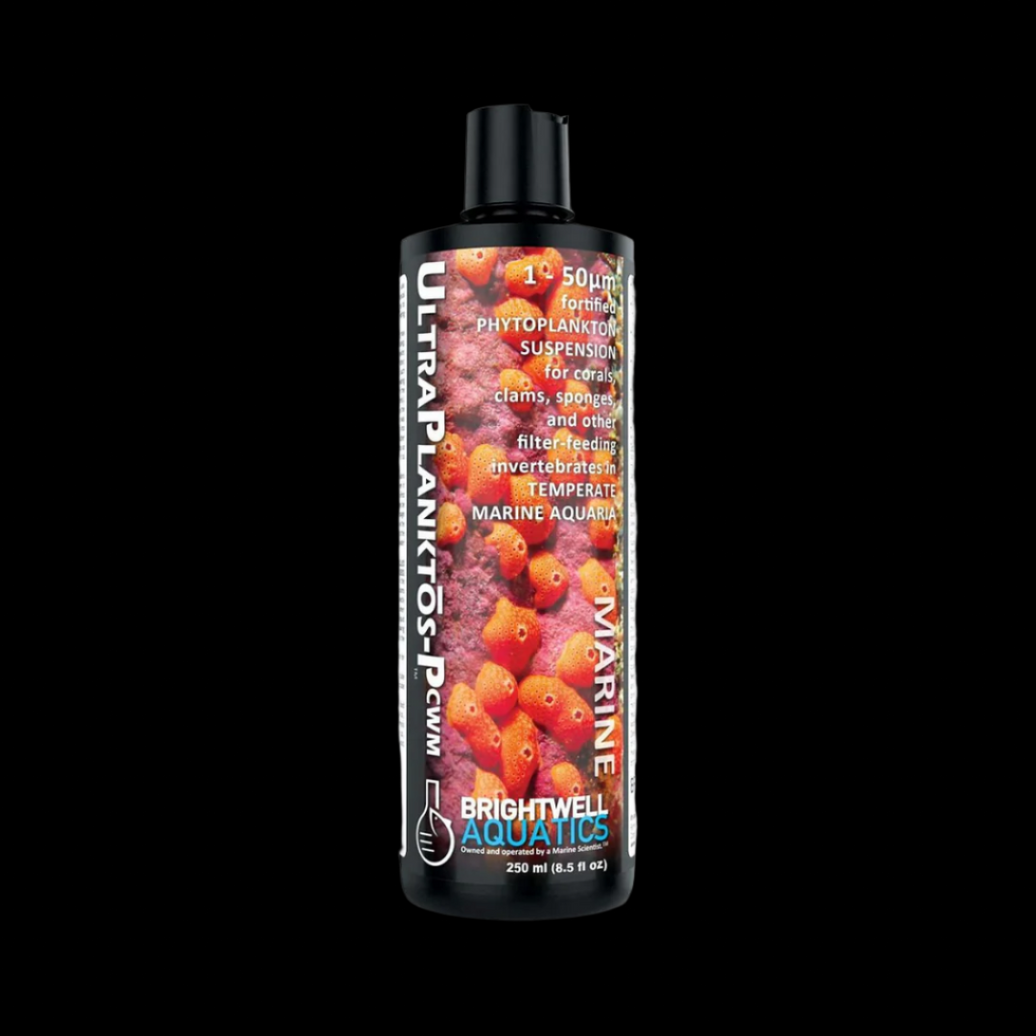 Brightwell Aquatics - UltraPlanktos-P - Amino Acid-Enhanced Phytoplankton and Microparticulate Blend for