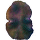 WYSIWYG Saluwesi Crown Leather Coral Marine Concept Supply