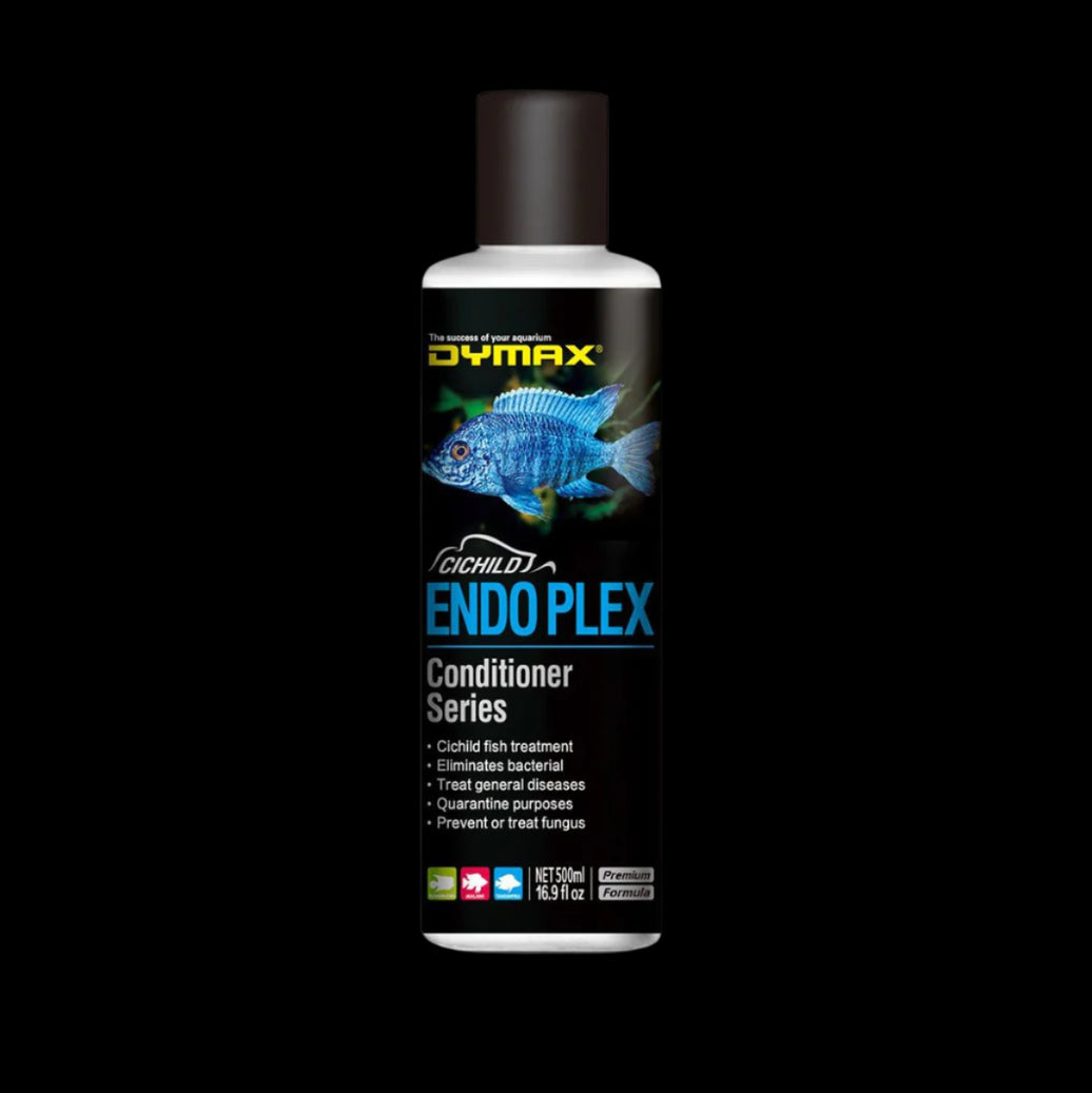 Dymax Endo Plex 500ml