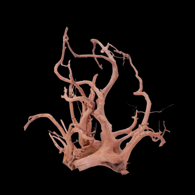 Dymax Tweety Wood - 2XL (30-36in)
