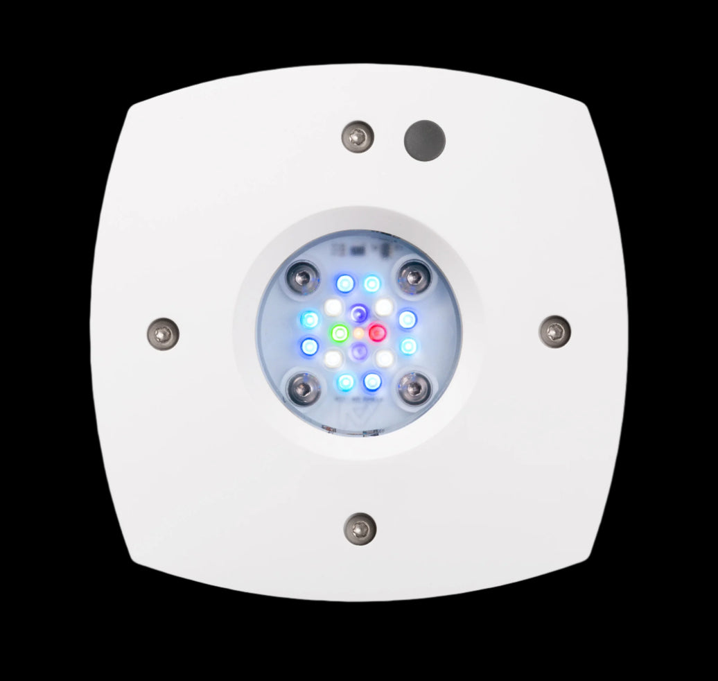 AI Hydra Prime 16 HD LED Module   White Body