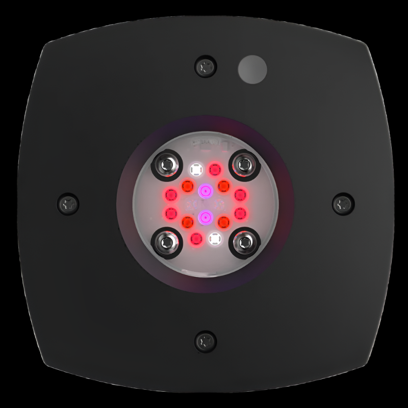 AI Hydra Prime 16 HD Fuge LED Module   Black Body