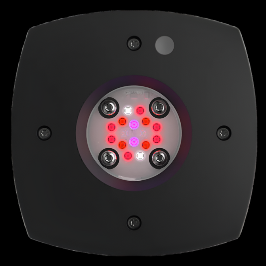 AI Hydra Prime 16 HD Fuge LED Module   Black Body